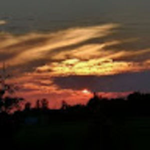 Meet your Posher, Sylvia